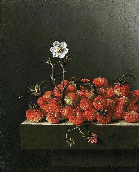 Adriaen Coorte Still life with wild strawberries. china oil painting image
